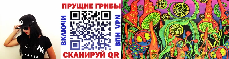 Купить где  Бородино  Галлюциногенные грибы Cubensis 